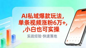 AI私域爆款玩法，单条视频涨粉6W+，小白也可实操-精品虚拟资源库