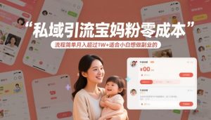 私域引流宝妈粉零成本流程简单月入超过1W+适合小白想做副业的-精品虚拟资源库