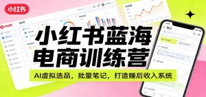 小红书蓝海电商训练营：AI虚拟选品，批量笔记，打造睡后收入系统-精品虚拟资源库