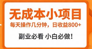 无成本小项目 每天操作几分钟，真实日收益800+ 副业必看 小白必做！-精品虚拟资源库
