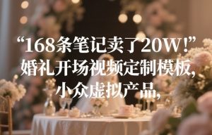 168条笔记卖了20W！婚礼开场视频定制模板，小众虚拟产品-精品虚拟资源库