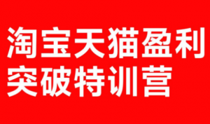 玺承·淘宝天猫盈利突破特训营(25年12月线下课)【音频+字幕】-精品虚拟资源库