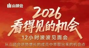 2026看得见的机会，剖析十几个实战案例，可直接抄作业，再优化迭代，内容超全，干货满满-精品虚拟资源库