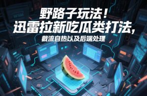 野路子玩法！迅雷拉新吃瓜类打法，截流自热以及后端处理-精品虚拟资源库