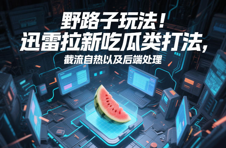 野路子玩法！迅雷拉新吃瓜类打法，截流自热以及后端处理-精品虚拟资源库