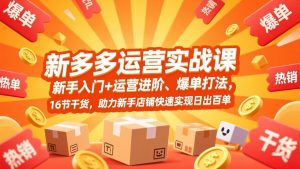 拼多多运营实战课，新手入门+运营进阶、爆单打法，16节干货，助力新手店铺快速实现日出百单-精品虚拟资源库