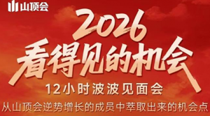 波波·2026看得见的机会12小时波波见面会(东莞线下课2月1日)-精品虚拟资源库