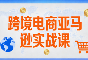 丝丝老师·跨境电商亚马逊实战课(更新2月)-精品虚拟资源库
