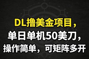 DL撸美金项目，单日单机50美刀，操作简单，可矩阵多开-精品虚拟资源库