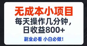 无成本小项目,每天操作几分钟,日收益800+ 副业必看 小白必做！-精品虚拟资源库