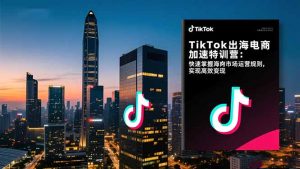 TikTok出海电商加速特训营-更新:快速掌握海外市场运营规则,实现高效变现-精品虚拟资源库
