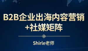 shirle老师·B2B企业出海内容营销+社媒矩阵-精品虚拟资源库