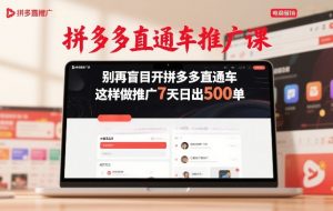 拼多多直通车推广课，别再盲目开拼多多直通车，这样做推广7天日出500单-精品虚拟资源库