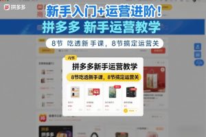 新手入门+运营进阶！拼多多新手运营教学，8节吃透新手课，8节搞定运营关-精品虚拟资源库