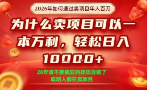 一单净利润1K+,26年想年入100个W,死磕卖项目就够了【揭秘】-精品虚拟资源库