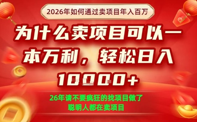 一单净利润1K+，26年想年入100个W，死磕卖项目就够了【揭秘】-精品虚拟资源库