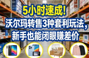 5小时速成！沃尔玛转售3种套利玩法，新手也能闭眼賺差价-精品虚拟资源库