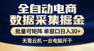 独家电商数据全自动采集项目，批量可矩阵，单窗口轻松日入3张+【揭秘】-精品虚拟资源库