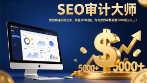 SEO审计大师：教你精通网站分析，修复SEO问题，为有效的审核收费5000美元以上！-精品虚拟资源库