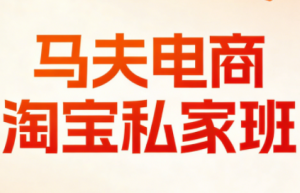 马夫电商·淘宝私家班(更新3月)-精品虚拟资源库