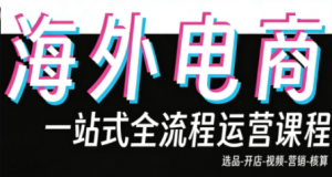 Demo老师·东南亚5国TikTok Shop运营课-精品虚拟资源库