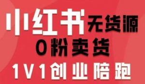 小红书无货源0粉电商课,开店准备、选品策略、笔记撰写、视频剪辑、数据分析、账号打造、资料文档(更新26年3月)-精品虚拟资源库