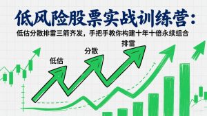 低风险股票实战训练营:低估分散排雷三箭齐发,手把手教你构建十年十倍永续组合-精品虚拟资源库