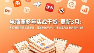 电商圈多年实战干货-更新3月:多位资深师兄实战干货,覆盖全域平台,中小卖家可复制的盈利指南-精品虚拟资源库