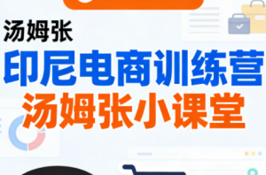 Jack老师·印尼电商训练营+汤姆张小课堂-精品虚拟资源库