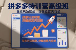 拼多多特训营高阶班,独家玩法赋能,突破运营天花板(更新26年3月13日)-精品虚拟资源库