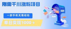 刚需千川涨粉项目，一部手机无需技术，单日变现1k+，当天做当天见收益【揭秘】-精品虚拟资源库