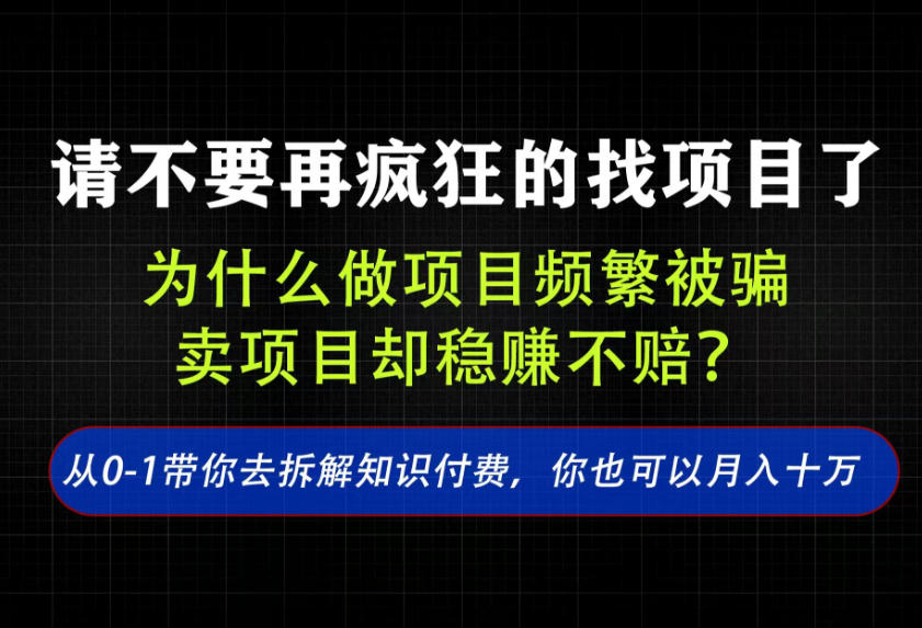 找项目？别傻了！卖项目才是真的一本万利！看完你全都懂了【揭秘】-精品虚拟资源库