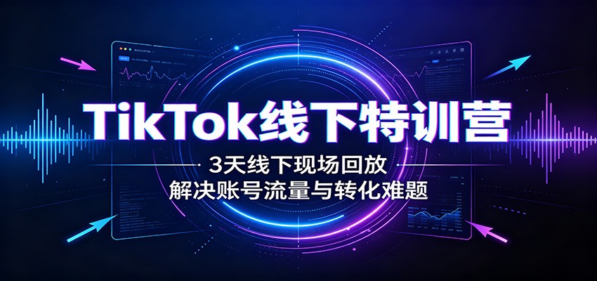 TikTok线下特训营：3天线下现场回放，解决账号流量与转化难题-精品虚拟资源库