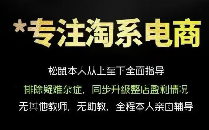 松鼠会电商VIP课程，从基础布局到高阶优化，助你掌握淘宝运营逻辑，提升店铺流量与转化(更新0823)-精品虚拟资源库