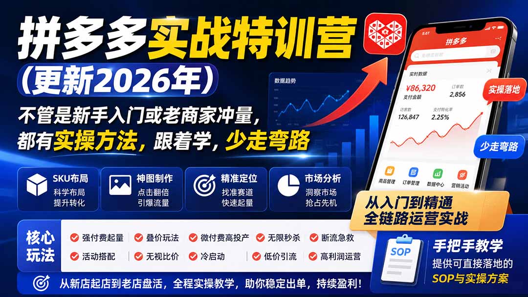 拼多多实战特训营(更新26年0827-精品虚拟资源库