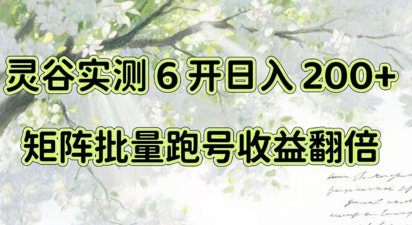 一台电脑就能做!灵谷实测6开日入200+,矩阵批量跑号收益翻倍【揭秘】-精品虚拟资源库