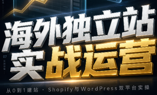 海外独立站实战运营-精品虚拟资源库