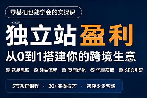 刘老师·5节课跑通独立站盈利全流程-精品虚拟资源库