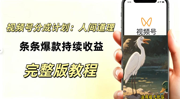 视频号新玩法之AI动漫画风励志视频，不用会画画、不用拍摄，持续化收益，详细拆解-精品虚拟资源库