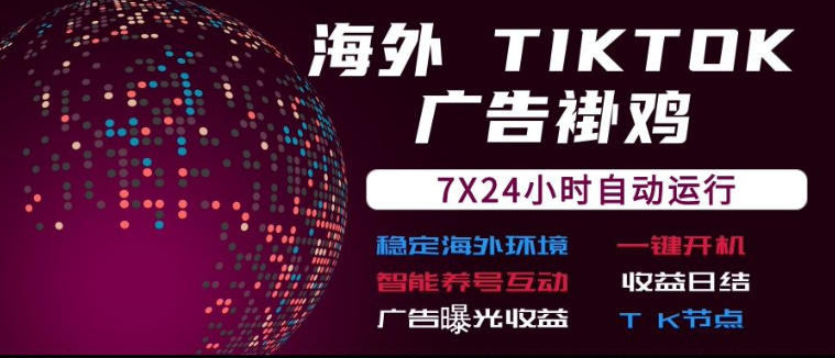 海外TikTok挂G流量变现，7X24自动运行，广告曝光收益，收益日结【揭秘】-精品虚拟资源库
