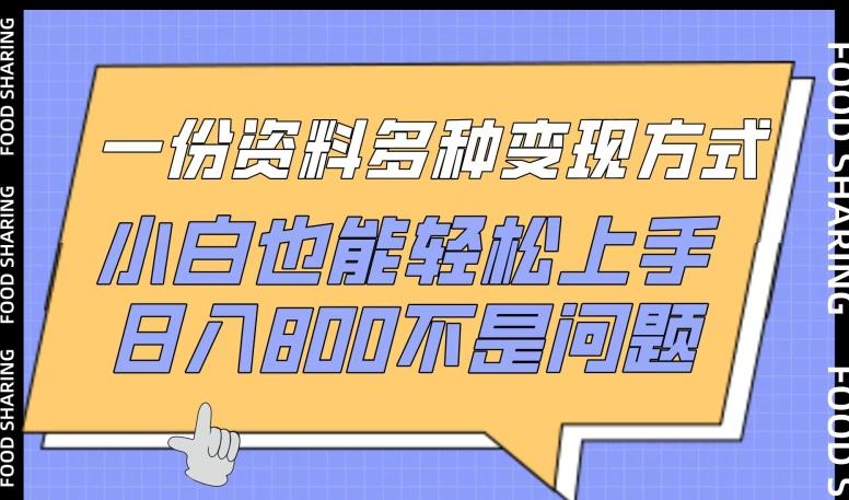 一份资料多种变现方式，小白也能轻松上手，日入800不是问题【揭秘】-精品虚拟资源库