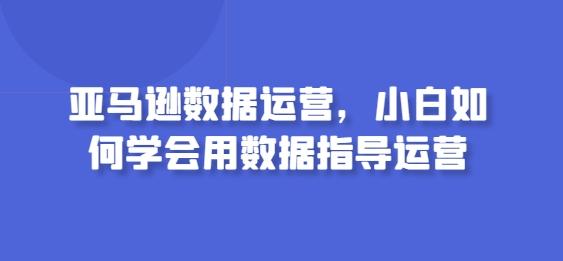 亚马逊数据运营，小白如何学会用数据指导运营-精品虚拟资源库