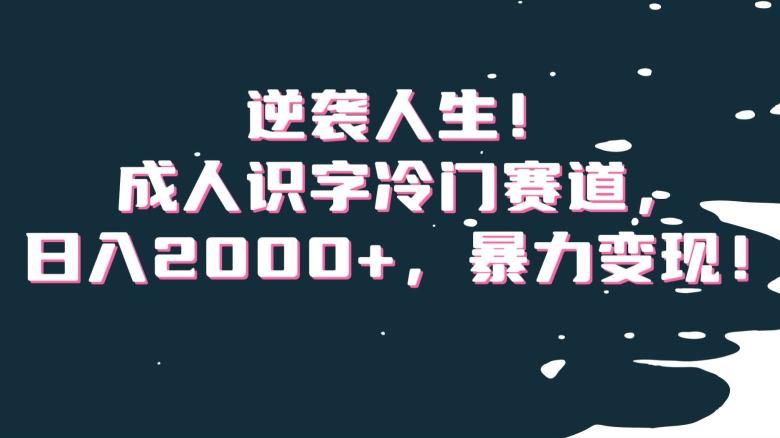 逆袭人生！成人识字冷门赛道，日入2000+，暴力变现！【揭秘】-精品虚拟资源库