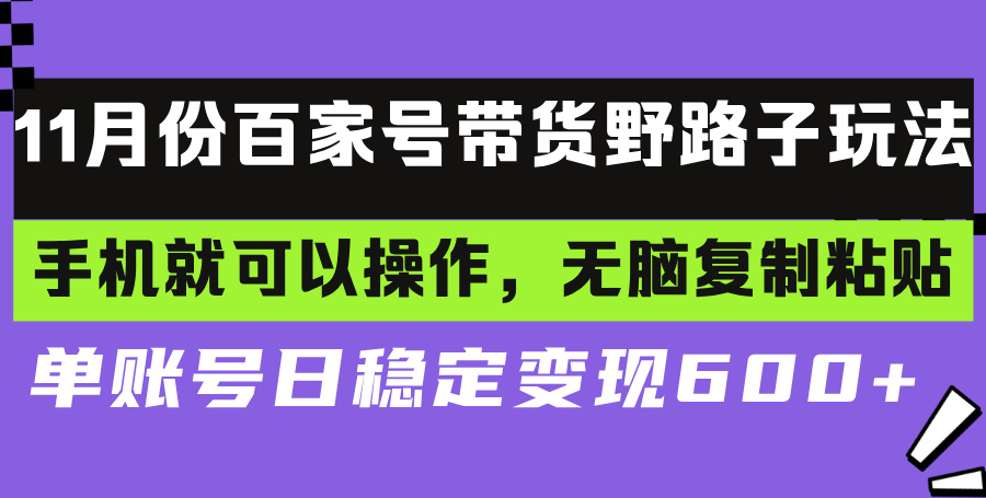 百家号带货野路子玩法 手机就可以操作，无脑复制粘贴 单账号日稳定变现…-精品虚拟资源库