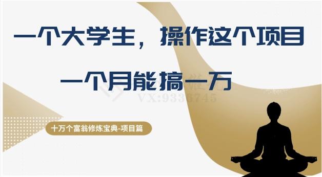 十万个富翁修炼宝典之4.一个大学生操作这个项目，一个月能搞一万-精品虚拟资源库