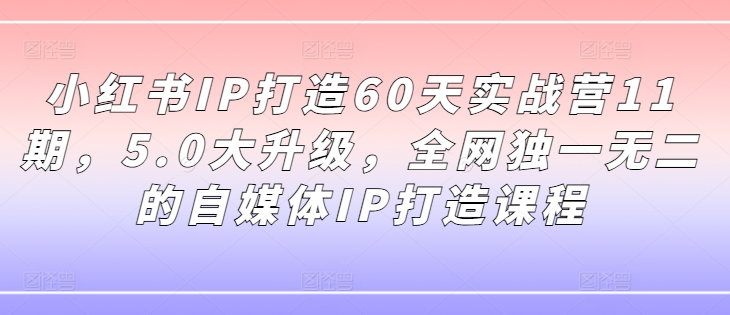 小红书IP打造60天实战营11期，5.0大升级，全网独一无二的自媒体IP打造课程-精品虚拟资源库