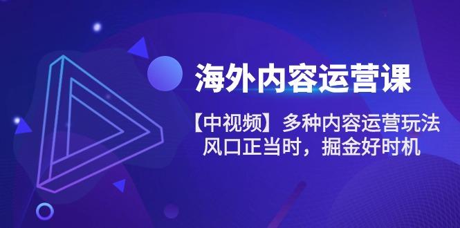 海外内容 运营课【中视频】多种内容运营玩法 风口正当时 掘金好时机-101节-精品虚拟资源库