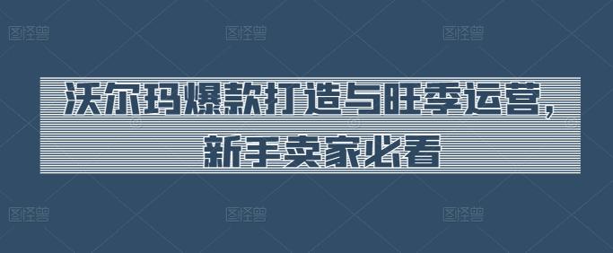沃尔玛爆款打造与旺季运营，新手卖家必看-精品虚拟资源库