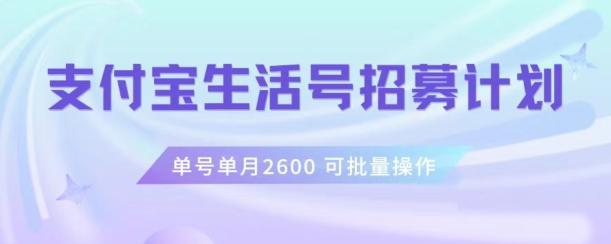 支付宝生活号作者招募计划，单号单月2600，可批量去做，工作室一人一个月轻松1w+【揭秘】-精品虚拟资源库