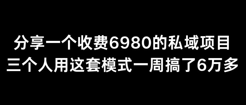 分享一个外面卖6980的私域项目三个人用这套模式一周搞了6万多【揭秘】-精品虚拟资源库